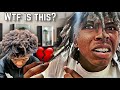 I had to cut all my hair instant locs gone wrong emotional