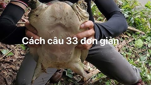 cách câu 33 đơn giản #lure #trung #fishing #câu #nhái #bassfishing #cách câu 33