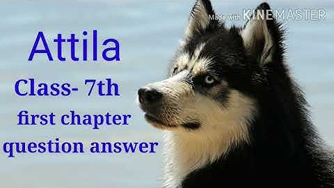 Class 7th first chapter Attila question answer .