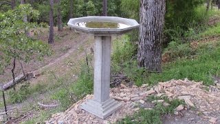 How To Make A Concrete Birdbath Part 1