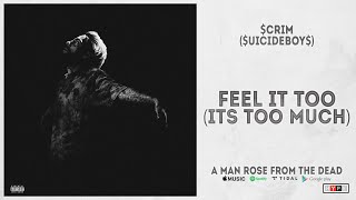 Scrim - “Feel It Too [It’s Too Much]“ (A Man Rose From The Dead) Resimi