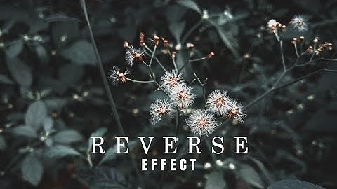 REVERSE PLAYBACK EFFECT IN KINEMASTER | KINEMASTER TUTORIAL