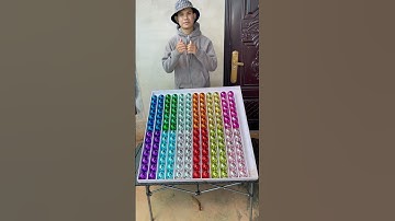 A Test of Pure Intelligence: Can You Sort These Colored Balls Without Mistakes?