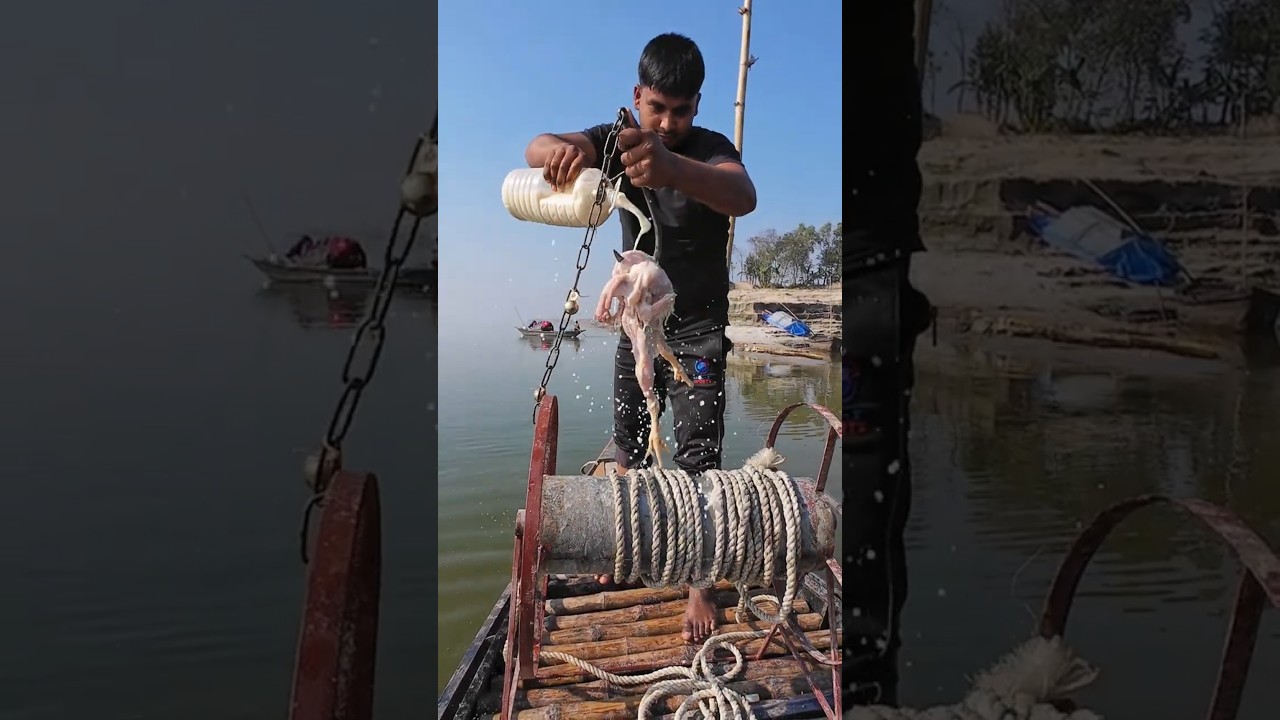 Perfect Chicken Bait Throwing for River Fishing 02 