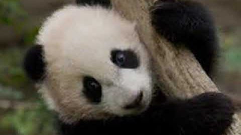 Hou Lai House Music dugem remix