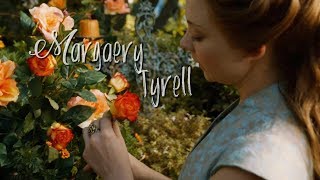 Margaery Tyrell⎹ Looking too closely