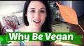 Video for redenen om vegan te worden/url?q=https://m.youtube.com/watch?v=CkD3aeO6gL0