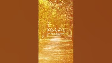 #سورة_إبراهيم ( #ياسر_الدوسري ) #قرآن #لايك #راحة_نفسية #اكسبلور #القرآن_الكريم #دعم #سورة #ترند