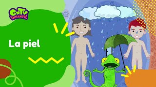 La piel | Camaleón y las naturales ciencias 3° temporada - YouTube