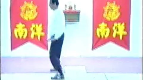 Chinese Master Tan Soh Tin Shuang Yang White Crane...