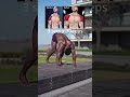 Upper body attack build bigger chest ,tricep #foryou #trend #viralvideos #viral #reelsinstagram