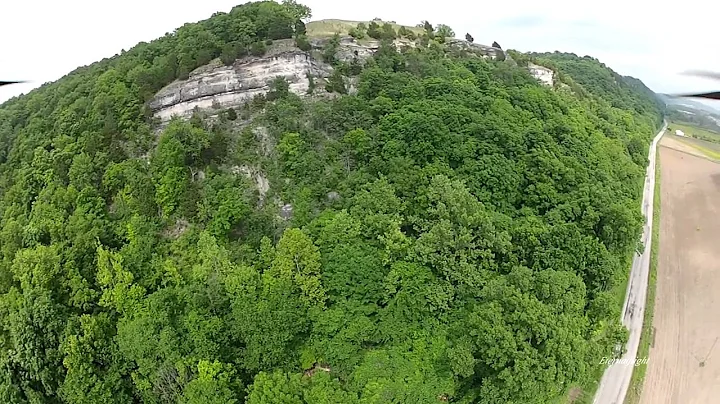 FPV FULTS