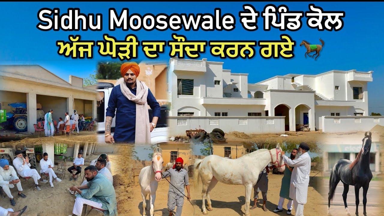 ਅੱਜ ਘੋੜੀ ਦਾ ਸੌਦਾ ਕਰਨ ਗਏ 🐎|| Sidhu Moosewale De Pind❤️|| Nukra Horse Deal || #punjab #horse