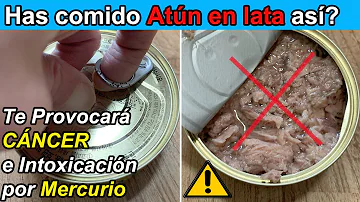 ¿Qué atún enlatado contiene más mercurio?