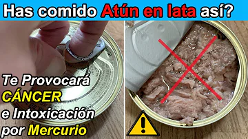 ¿Qué atún no contiene mucho mercurio?