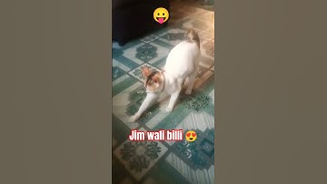 cat sound attract 🐱realistic multiple‌  #billimeow#billikiawaz #funny#billi #shortsfeed #catvideos