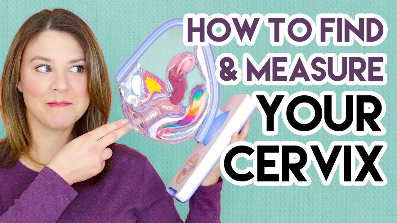 How To Find And Measure Your Cervix