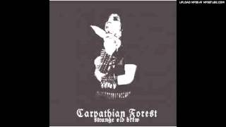 Watch Carpathian Forest Bloodcleansing video