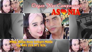 Cinta Sengketa , ASONIA 085224972926