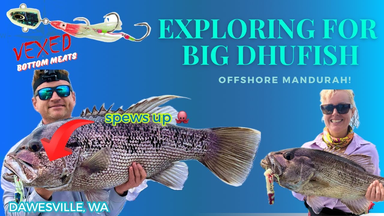 Dhuma Fish Exploring Offshore Mandurah for BIG Dhufish! | Fish Spew Up a MONSTER ...