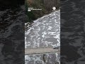 Michigan Dam Under Siege as River Levels Spike