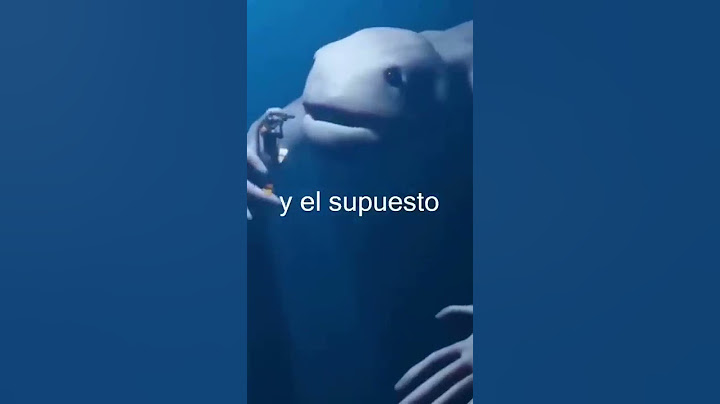 24h en una Ciudad Debajo del Agua!