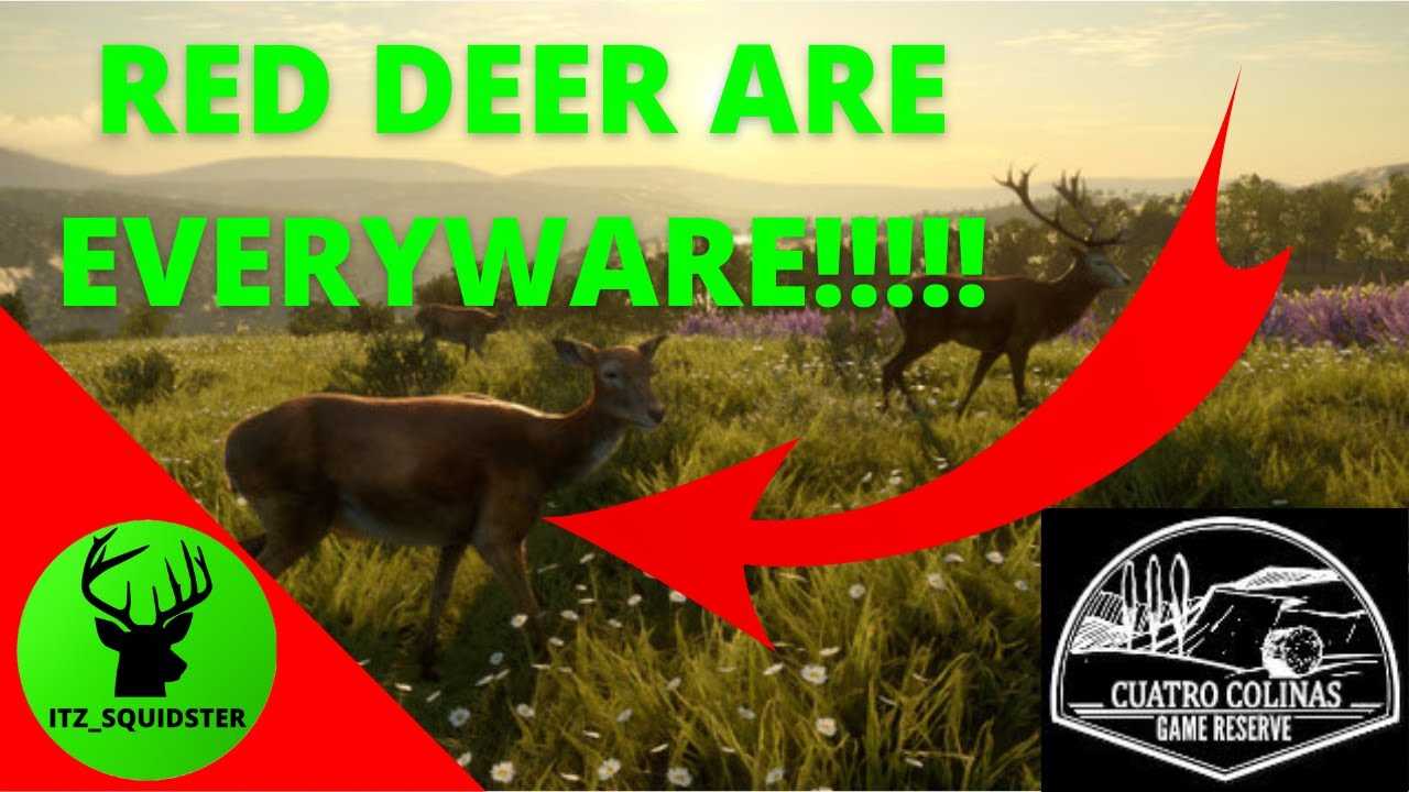 Red Deer Hunting in Cuatro is Awesome!!! Red Deer Zone Guide Cuatro