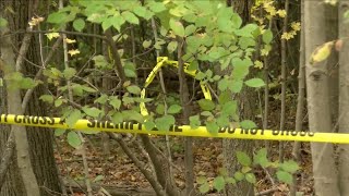 CORONER: Human remains found in NE Allen County