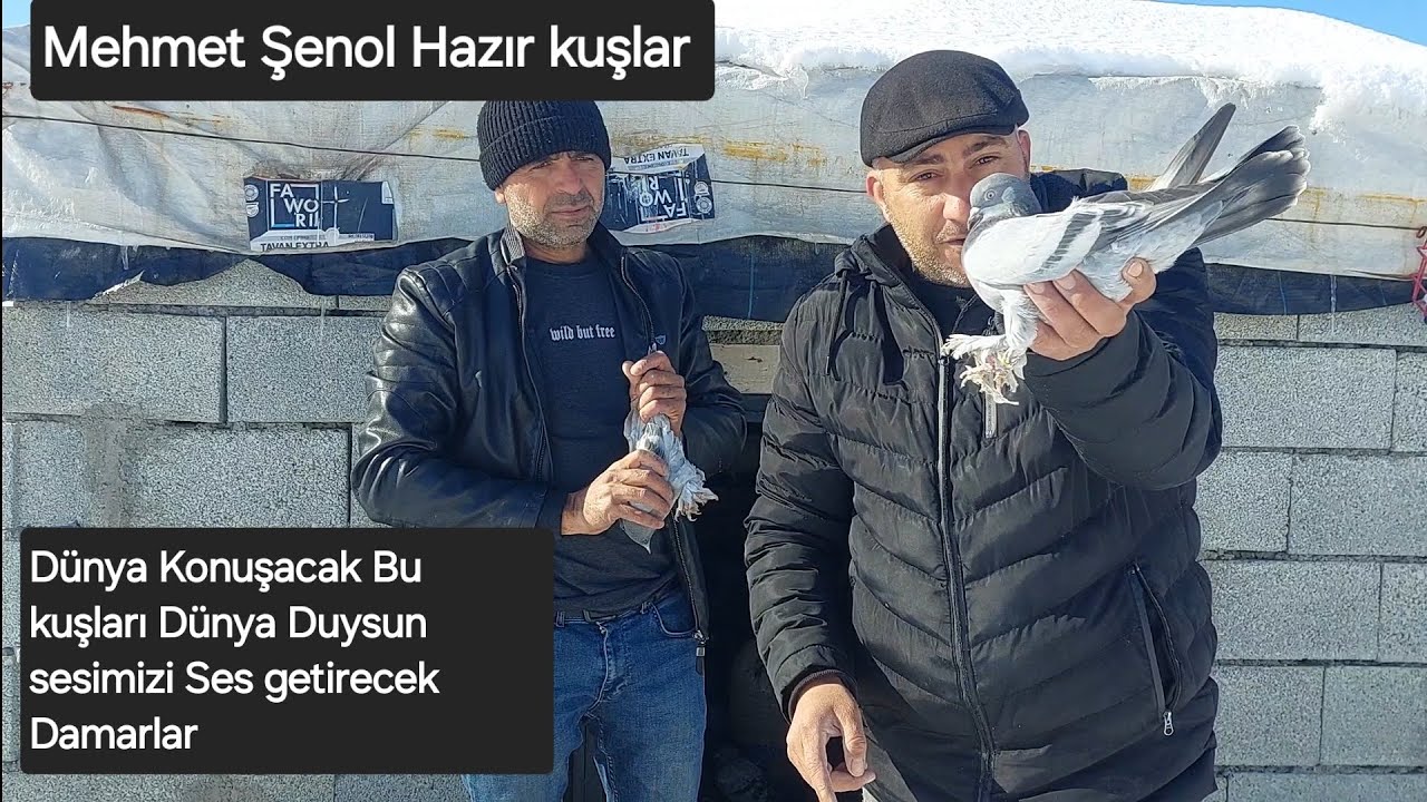 Mehmet Şenol Hazir uçar oynar 25 30 metre ve Bol seferli Efsaneler Çarsama akşami  saat 