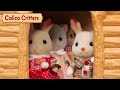 Rain rain go away stop motion  calico critters