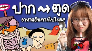 จากปากถึงตูดอาหารผ่านไปไหนบ้าง? | Point of View x LB81