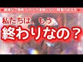 【もう終わりなの？】⚠️辛口あります⚠️ 今の状況には大きな意味があるよう！ツインレイ　気持ちを出さない理由も教えてくれました！カラスさんからのメッセージ、今回もありました💖💖サインを見逃さないで！！