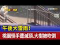 午後大雷雨！桃園怪手遭滅頂.大樹被吹倒