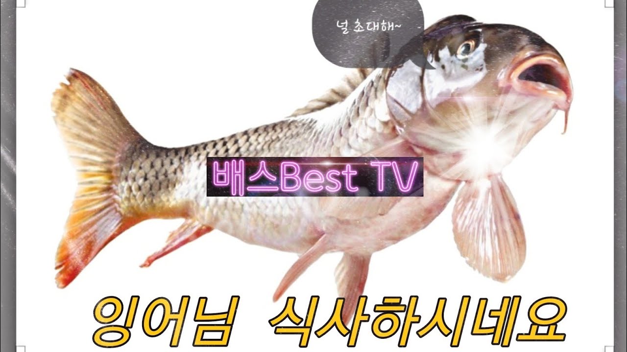 짬낚에는 꽝이지~~(잉어님 식사자리에서 부탁한번 했어요)