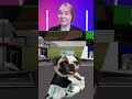 try not to lough challenge#viral #trending #meme #funny #contentcreator