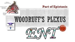 Woodruff's Plexus - Part of Epistaxis