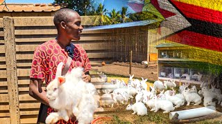 How to be a Successful Rabbit Farmer like this University Graduate