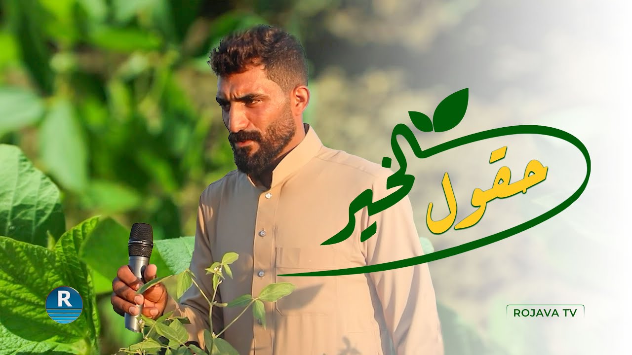 زراعة فول الصويا بريف الرقة.. 