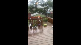 Hail in Berkeley