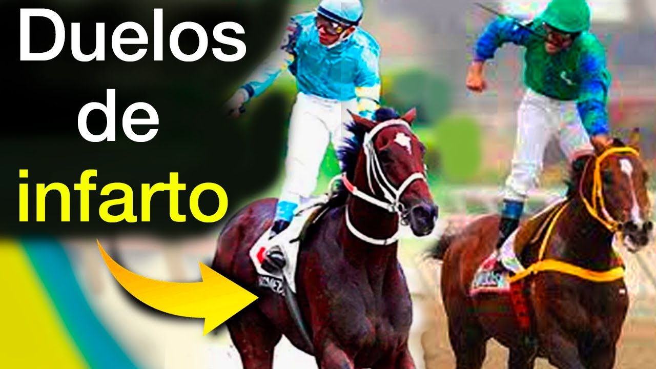 🔥 50 Mejores 𝗥𝗜𝗩𝗔𝗟𝗜𝗗𝗔𝗗𝗘𝗦 Históricas en la RINCONADA 👉 𝗗𝘂𝗲𝗹𝗼𝘀 que están Tatuados en la Memoria Hípica