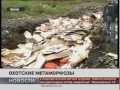 Охотские метаморфозы. Новости. 11/04/2017. GuberniaTV