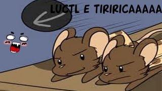 TRANSFORMICE - Luctl e Tiriricaaaaa