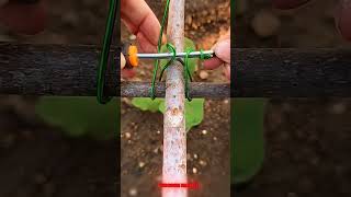 Practical methods for bundling wooden frames 🪵🔗 #shorts