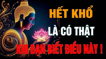 Phật Dạy : Hết Khổ Là Có Thật – Khi Bạn Hiểu Đúng Về Nghiệp Và Buông Bỏ Đúng Cách