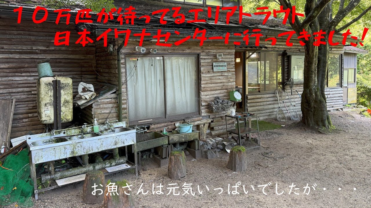 【日本イワナセンター】９月２１日釣行記録【エリアトラウト】