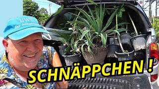 Thailand gnadenlos! Dieser Laden ist pleite… jetzt beginnt der Ausverkauf