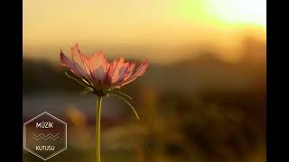 Sensi̇zli̇ğe Alişamadim