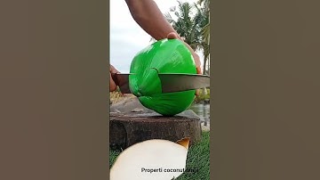 Yellow fiber | removing coconut from its shell#coconutpeelingtool​ #howtoremovecoconutfromshell​