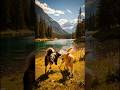 How to Train Your Dogs for Outdoor Adventures! (Step-by-Step)​🐕 Socializing Your Dogs in Nature: