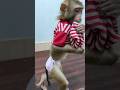 Very Smart Mario Youtubeshorts Trending Viralreels Very Smart Mario Youtubeshorts Trending Viralreels